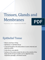 Tissues, Glands and Membranes