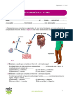 Teste diagnóstico.pdf
