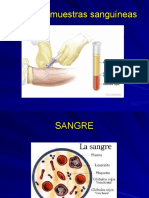 Toma de muestra sanguínea: guía completa