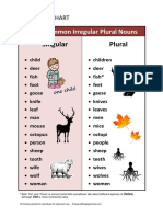 Atg-Irregular Plural Nouns