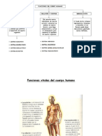 Cuadernillo El Cuerpo Humano