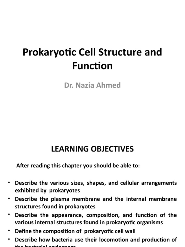 Prokaryotic Cell Structure Overview | PDF | Cell Membrane | Plasmid