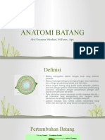 Anatomi Batang