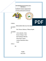 Grupo 2-Enfermedad de Newcastle Epidemiología