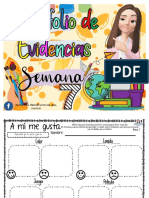 Portafolio de Evidencias Semana 7 FB PDF