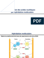 hybridation moléculaire _acides nucléiques