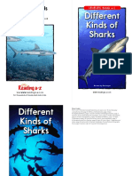 raz_lc43_differentkindsofsharks_clr.pdf