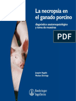 Libro Necropsia Porcino PDF