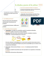 Bioquimica Apuntes