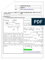 Clasificación moderna de los seres vivos