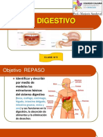 repaso 5°A sistema digestivo 5°