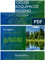 OXIGENO.pdf