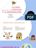 Exposicion Percepcion e Imaginacion PDF