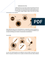 Apunte Clasificación de los Virus.pdf