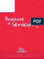 Brochure Servicios OV (2) (1)