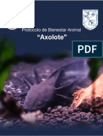 Protocolo Axolote