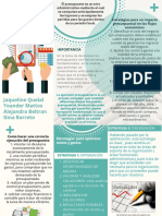 Folleto Presupuestos PDF