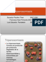 Tripanosomiasis 110330110901 Phpapp01
