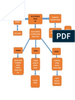 Mapa Conceptual Adn