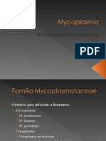 C 17 Mycoplasma Ureaplasma y Clamidia