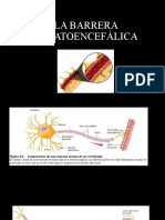 La Barrera Hematoencefálica