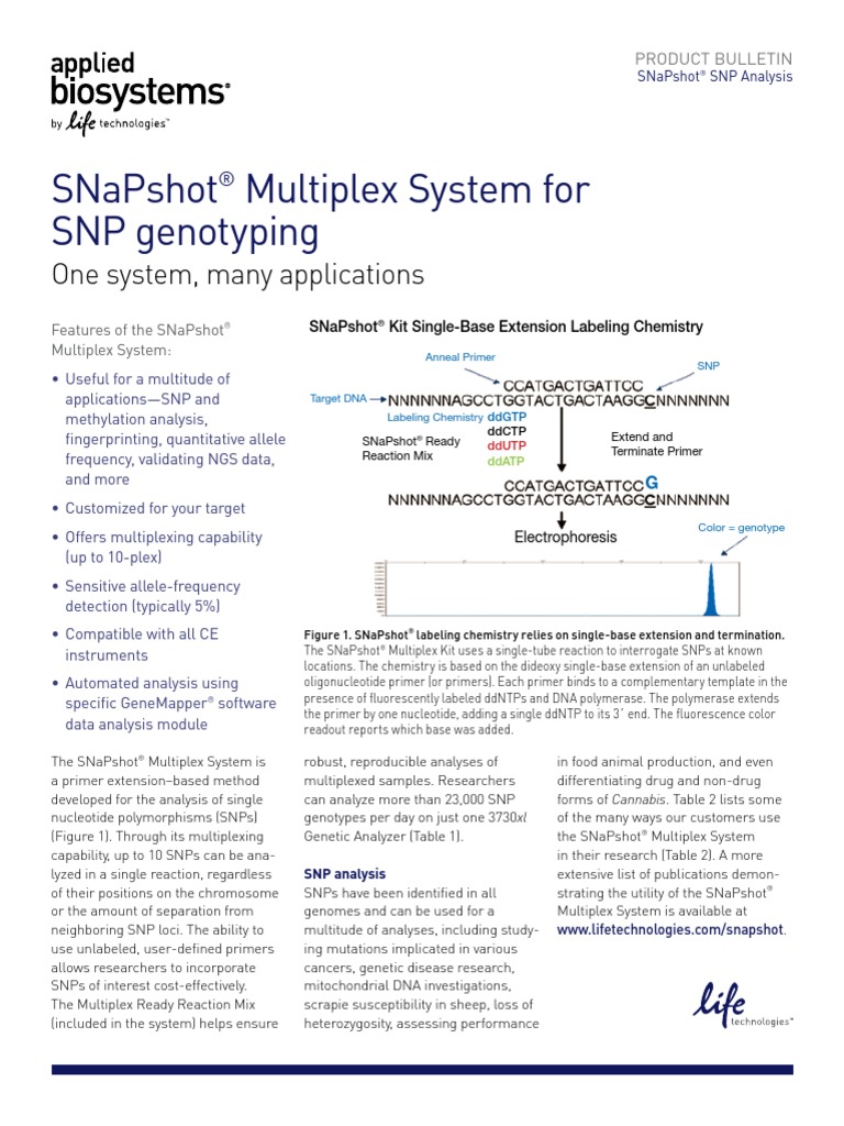 SNaPshot® Multiplex PDF Molecular Biology Biochemistry
