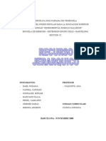 Trabajo Recurso Jerarquico