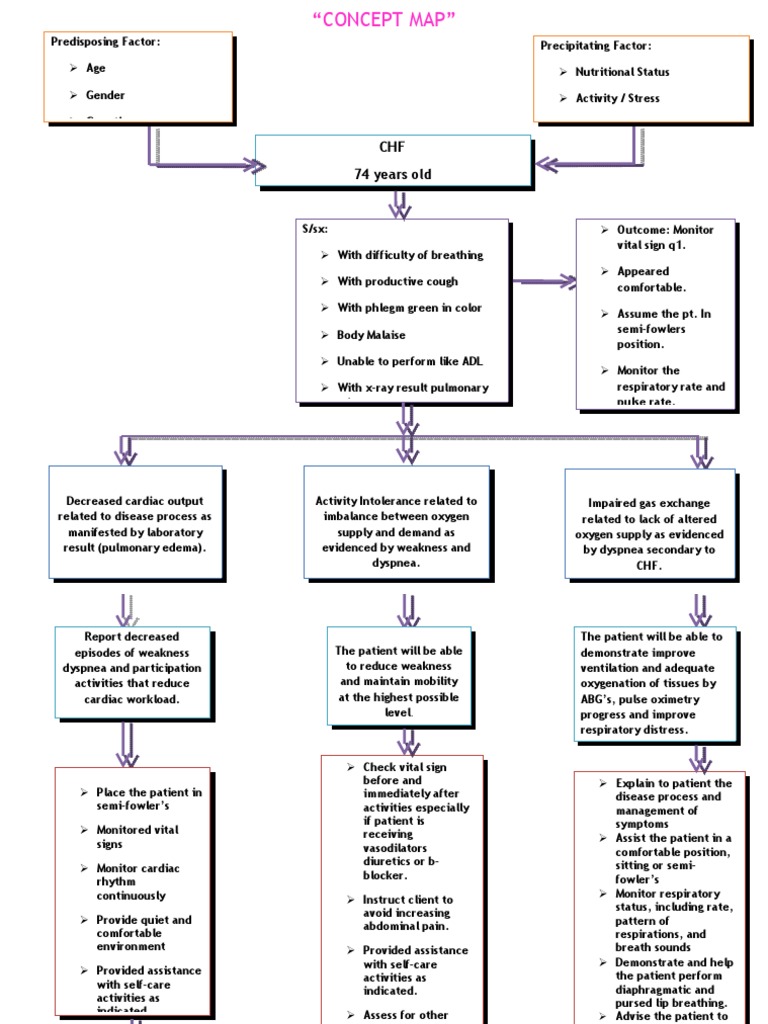 Heart Failure COncept Map  PDF  Heart Failure  Diseases And Disorders