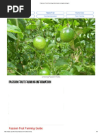 Passion Fruit Farming Information - Agrifarming