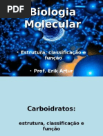 Biologia Molecular