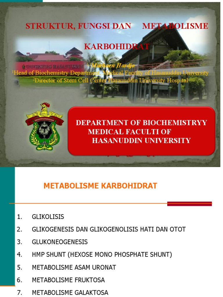 Metabolisme Karbohidrat 2020 Glycolysis Fructose