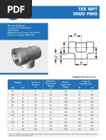 Especificaciones del Threadolet NPT 3000 | PDF