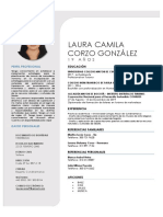 CURRICULUM TURISMO.pdf