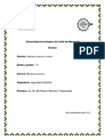 Ensayo Riesgos e Incidentes PDF