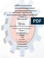 Proyecto Carne Adobada 5° PDF