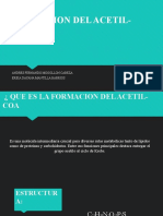 FORMACION DEL ACETIL- COA.pptx