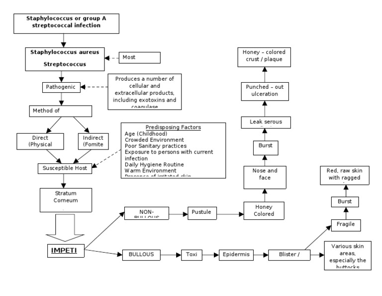 Impetigo Pathophysiology