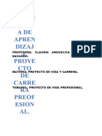 Experiencia de Aprendizaje. Proyecto de Carrera Profesional.