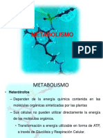 Exposicion metabolismo.pdf