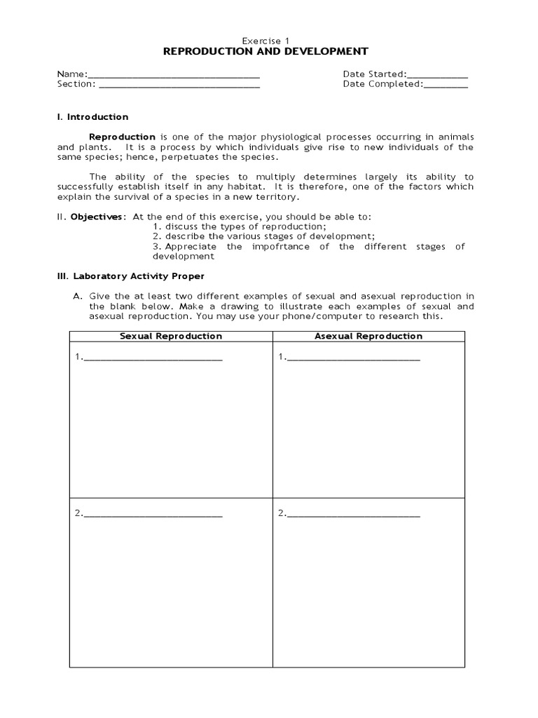 Reproduction and Development Exercise Guide | PDF | Meiosis | Fertilisation