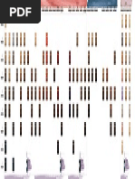 GB-Master INDOLA PCC Digital ColourChart 001188 X-2