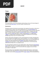 Download Body of Abortion by cherubrock SN47840304 doc pdf