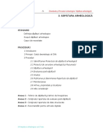 03 Sapatura arheologica rev17.pdf