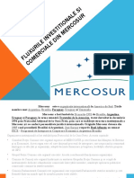 Fluxurile investitionale si comerciale din Mercosur