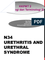 N34 Urethritis and Urethral Syndrome