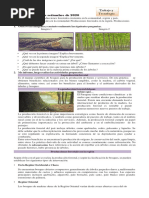 5to Grado Tarea 17 09 20 PDF