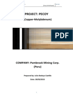 Project: Pecoy: (Copper-Molybdenum)