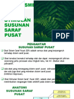 Mekanisme Aksi Obat Stimulan Susunan Saraf Pusat