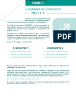 Cargas Gym N1 PDF