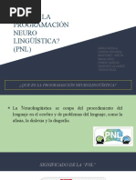 ¿Que Es La Programación Neuro Lingüística - (PNL)